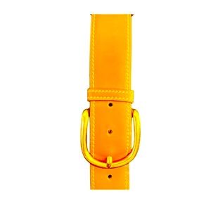 Hermes Mens Belt